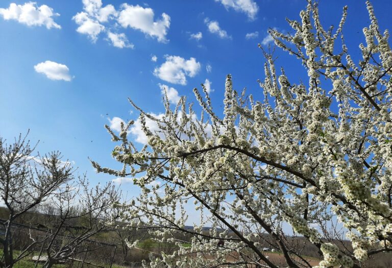 20200426_170423-scaled.jpg_1