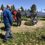 Green Sanctuary May 2024 News