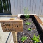 Playscape Enhancements in 2024