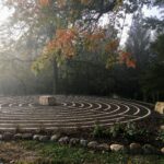 Secular Humanists Meeting on January 21