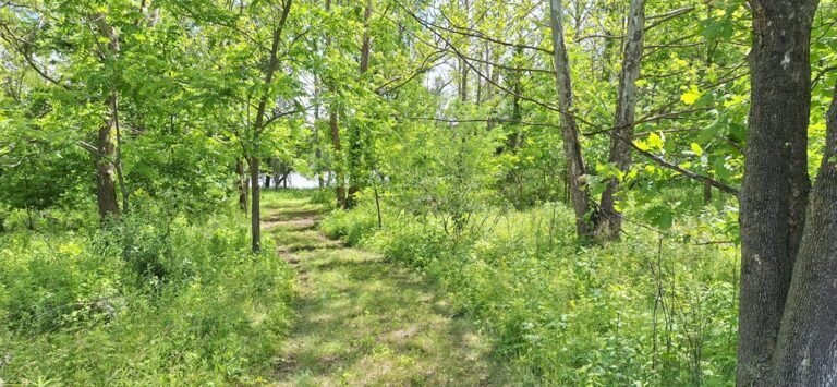 20240528_111704dKr7Uh8