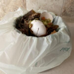 Green Sanctuary April 2025 News