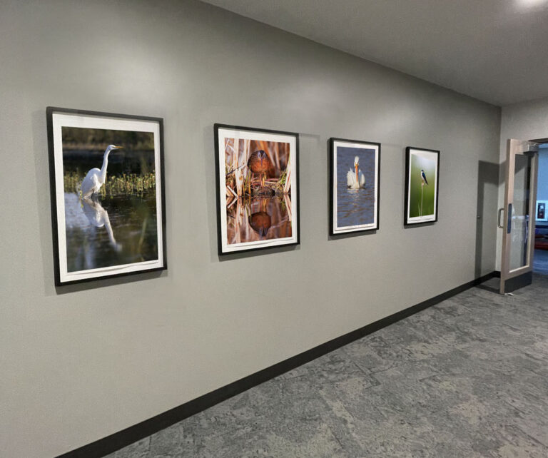 artist-rendering-gallery-hall-2