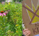 Green Sanctuary November 2025 News2025.11